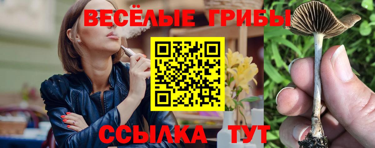 Реутов  Псилоцибиновые грибы мицелий  как найти наркотики  Вход с VPN 
